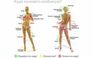 12 штрихов к портрету вагины: знания, которые спасут ваш секс