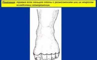 Медицинская энциклопедия