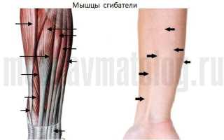Как разрабатывать палец после перелома
