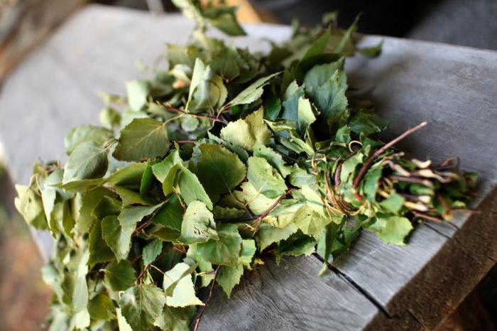 Берёзовый веник