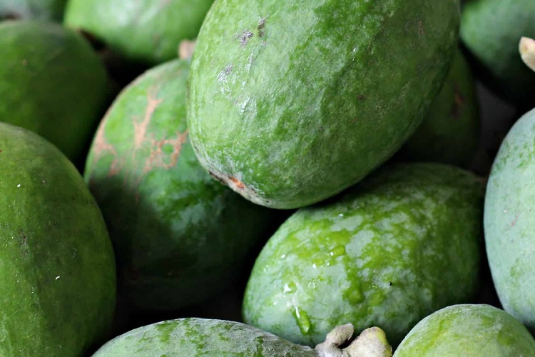 Перед заморозкой