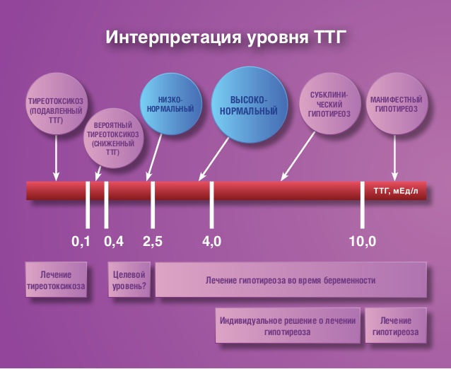 Интерпретация уровня ТТГ