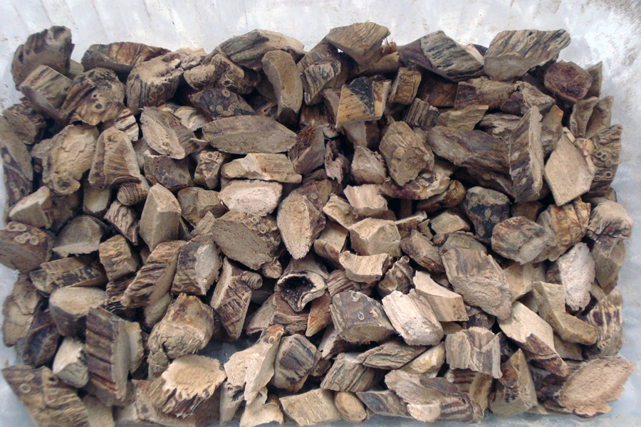 Корень аира