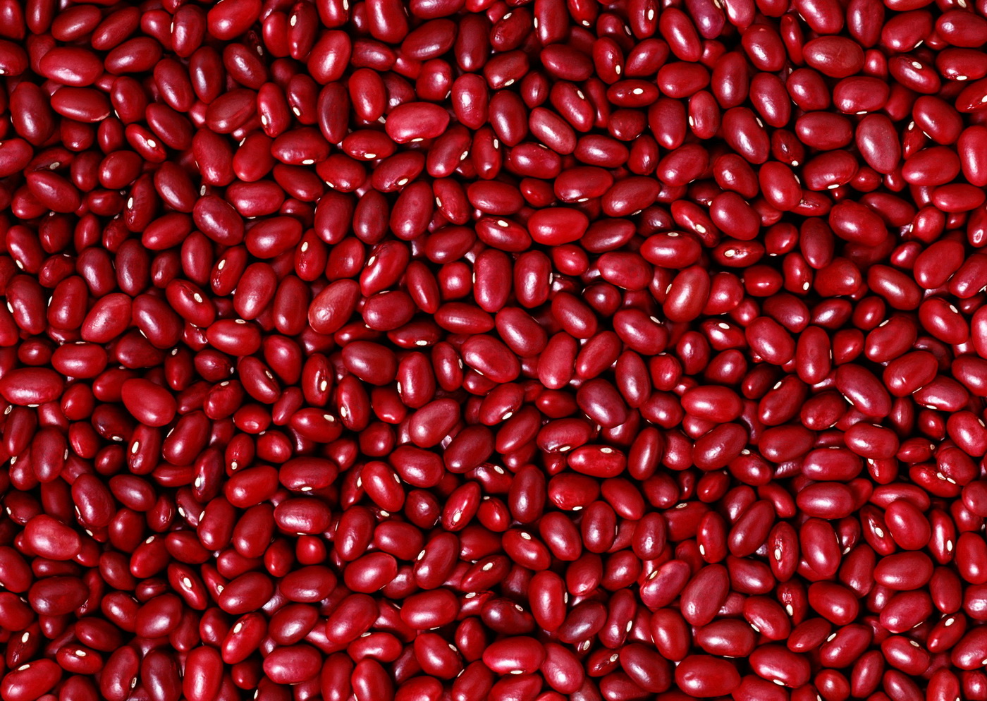 Красная фасоль