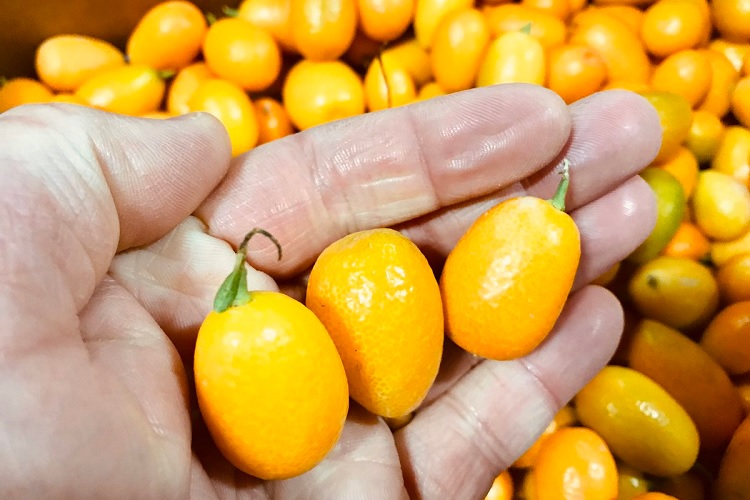 Полезные для организма фрукты