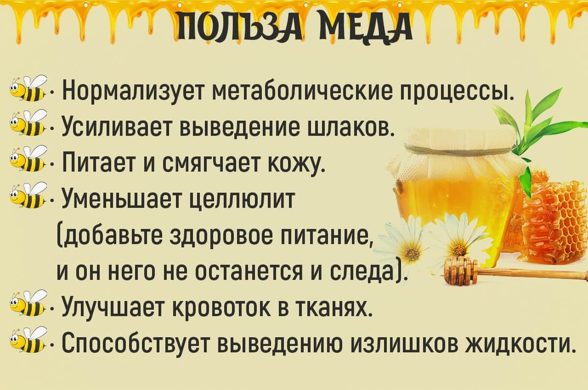Польза меда для организма