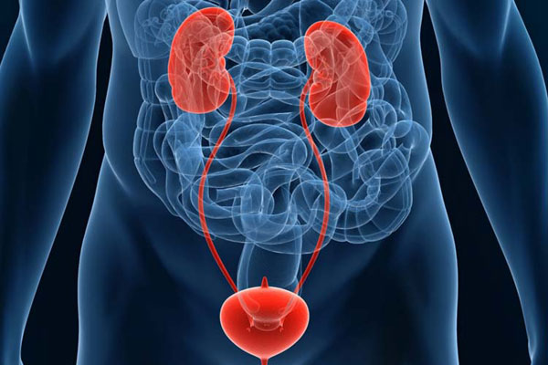 Диагностика заболеваний МПС Диагностика