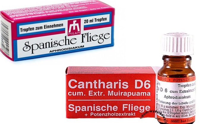 Фитотерапия при цистите Фитотерапия и цистит