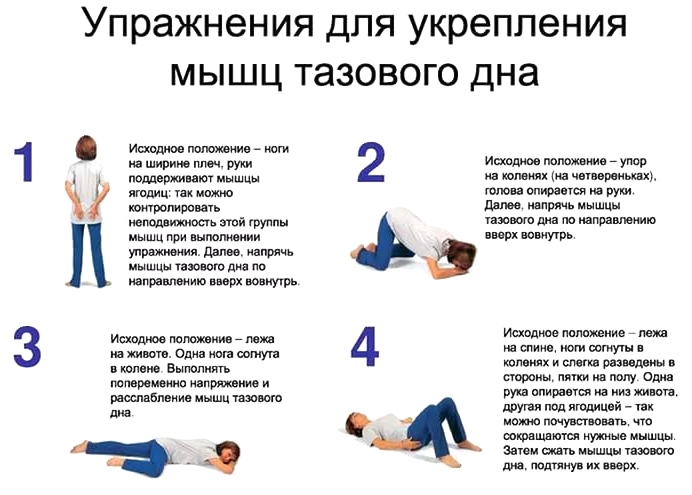 Гимнастика для профилактики недержания мочи Упражнения при недержании мочи