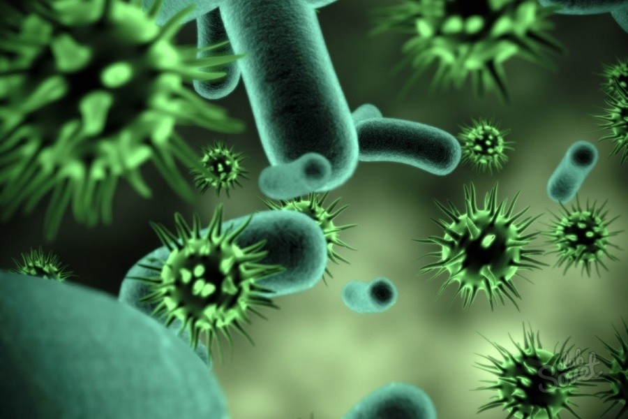 Кандиозный эпидидимит: симптомы Кандиозный эпидидимит: лечение