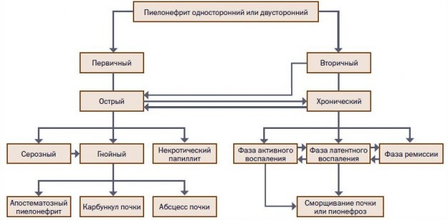 Осложнения при пиелонефрите Осложнения при пиелонефрите