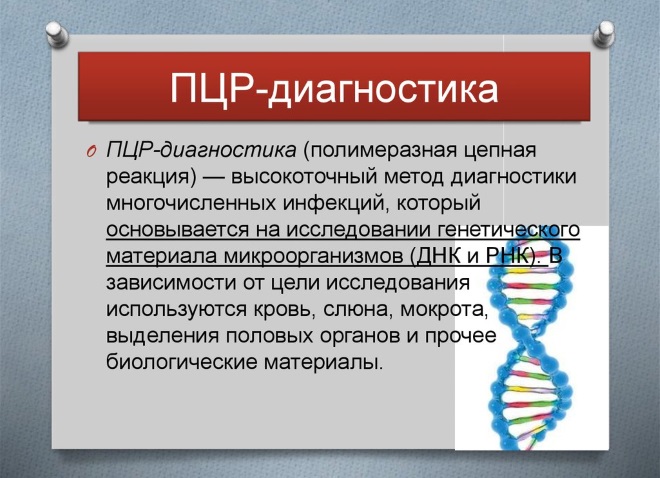 ПЦР-диагностика ПЦР-диагностика
