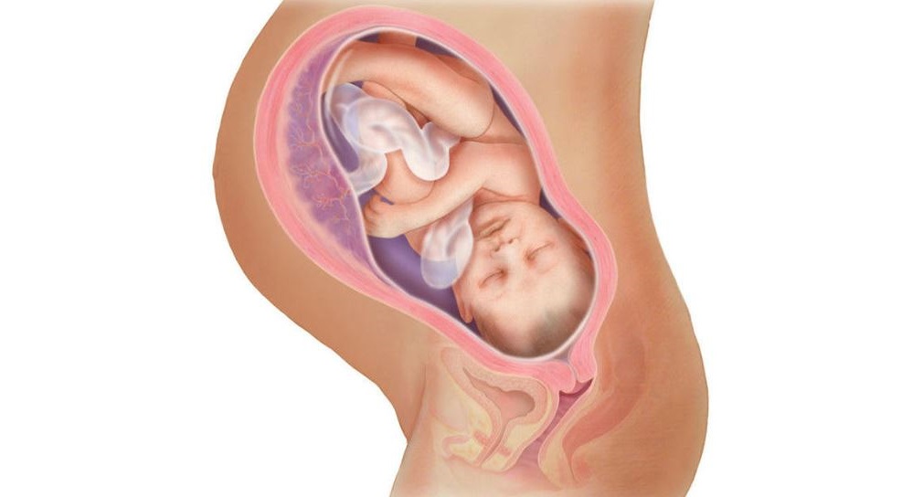 Почему бывает недержание мочи при беременности Почему бывает недержание мочи у беременных