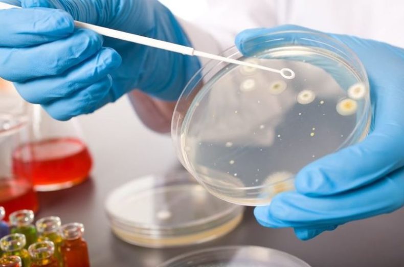 Откуда берется уреаплазмоз Причины заболевания