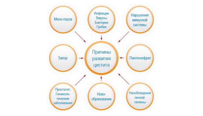 Причины заболевания Цистит Причины заболевания