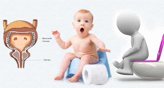 Как развивается цистит у детей Как проявляется цистит у детей