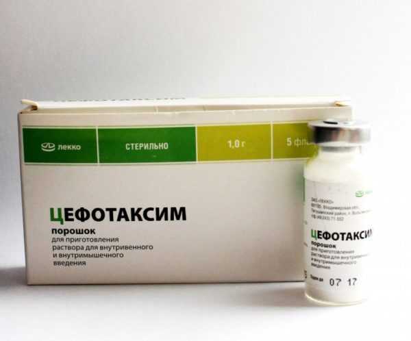 Цефотаксим при Пиелонефрите Антибиотики Цефотаксим