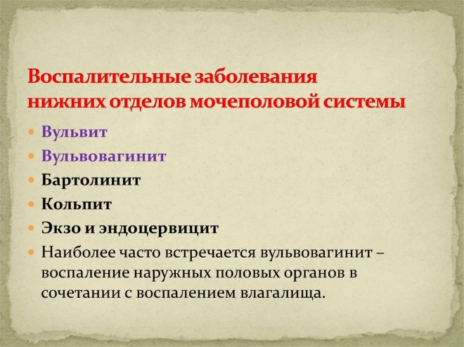 Воспалительные заболевания нижних отделов мочеполовой системы Воспалительные заболевания нижних отделов мочеполовой системы