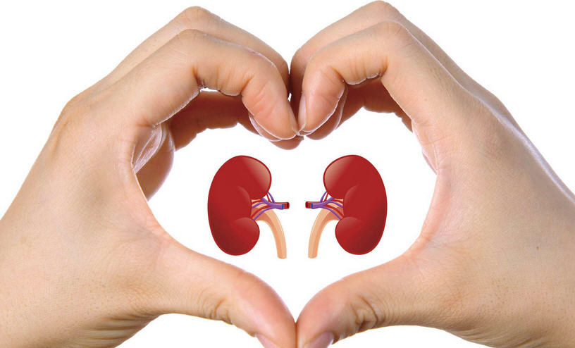 Как выявить двусторонний пиелонефрит двусторонний пиелонефрит