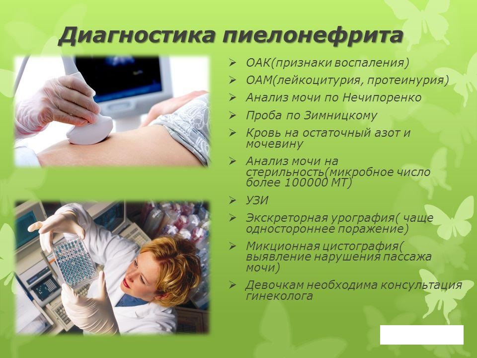 Диагностика заболевания острого пиелонефрита Диагностика заболевания