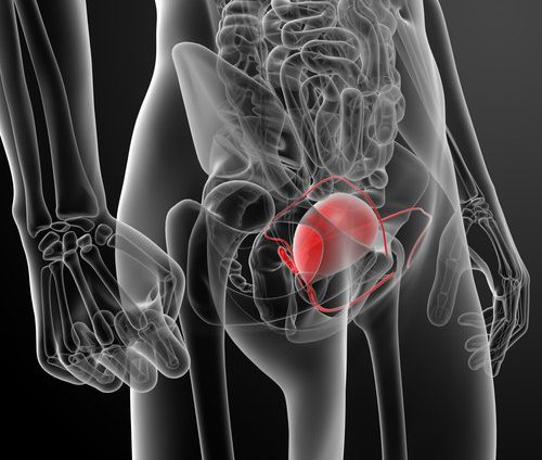 Диагностика острого цистита Диагностика