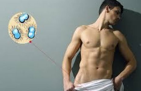 Диагностика паховой гранулемы Диагностика заболевания