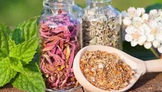 Эффективные травы против мочекаменных болезней Эффективные травы