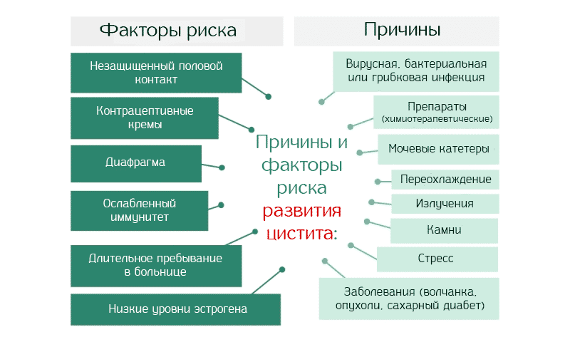 Причины заболевания Цистит Причины заболевания