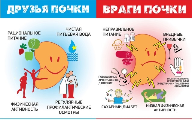 Как питаться при цистите Как питаться