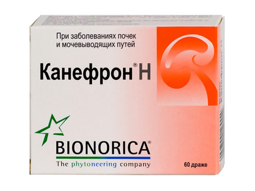 Упаковка Канефрон для лечения Пиелонефрита Упаковка Канефрон