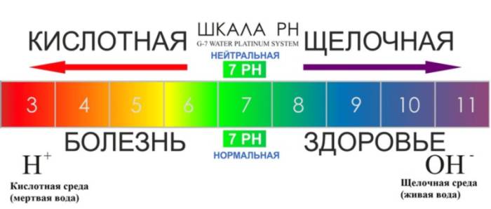 Что может сказать кислотность мочи при МКБ Что может сказать кислотность мочи