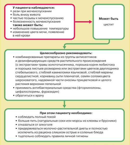 Курс лечение Цистита Курс лечение