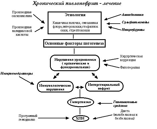 Лечение хронического пиелонефрита у детей Лечение хронического пиелонефрита