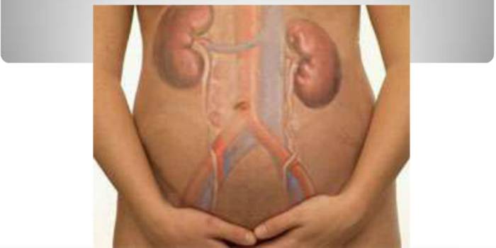 Можно ле лечить у беременных пиелонефрит Можно ле лечить у беременных