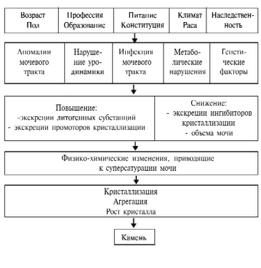 Общие причины мочекаменной болезни Общие причины