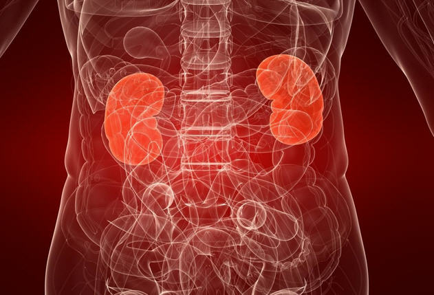 Особенности заболевания пиелонефрита у мужчин Особенности заболевания