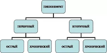 Виды первичного и вторичного пиелонефрита первичный и вторичный пиелонефрит