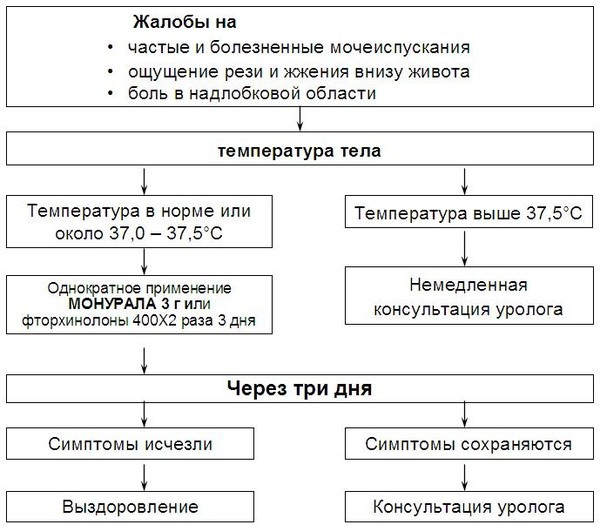 Симптомы заболевания Хронический цистит Симптомы заболевания
