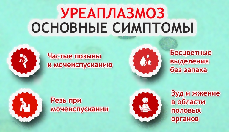 Симптомы заболевания уреаплазмоза Симптомы заболевания