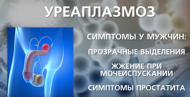 симптомы уреаплазмоза у мужчин симптомы у мужчин