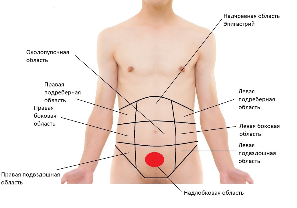 Болевые зоны при цистите Болевые зоны