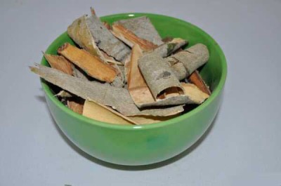 Кора осины