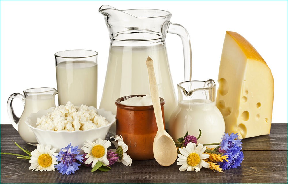 Молочная продукция Молочная продукция