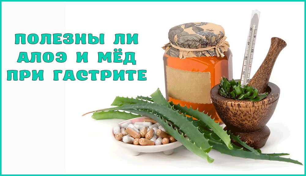 Алоэ с медом при гастрите Алоэ с медом при гастрите